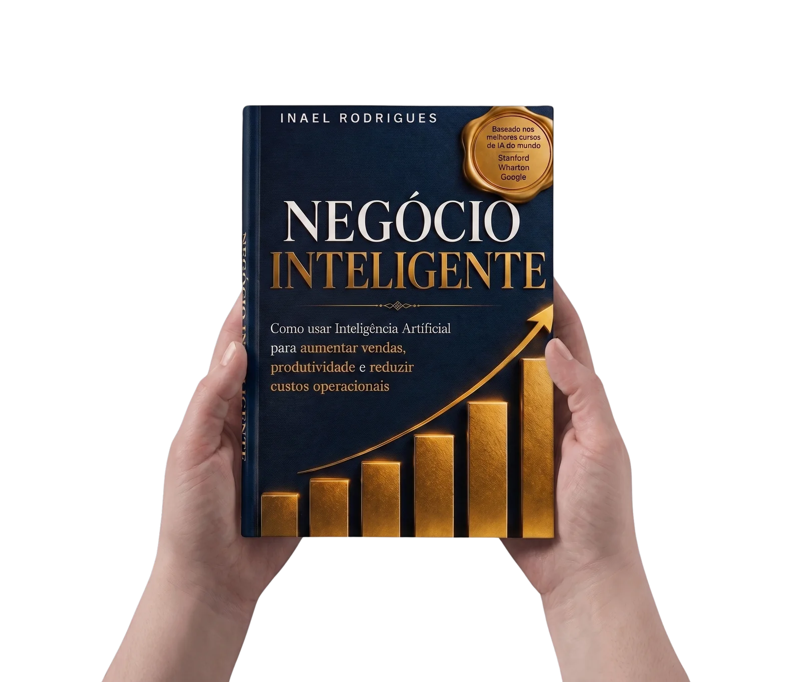 Livro Negócio Inteligente sendo segurado em mãos